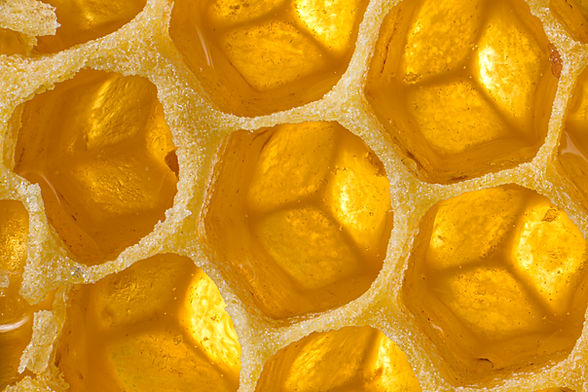 Honeycomb Close-Up