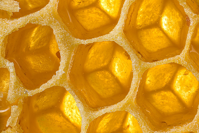 Honeycomb Closeup