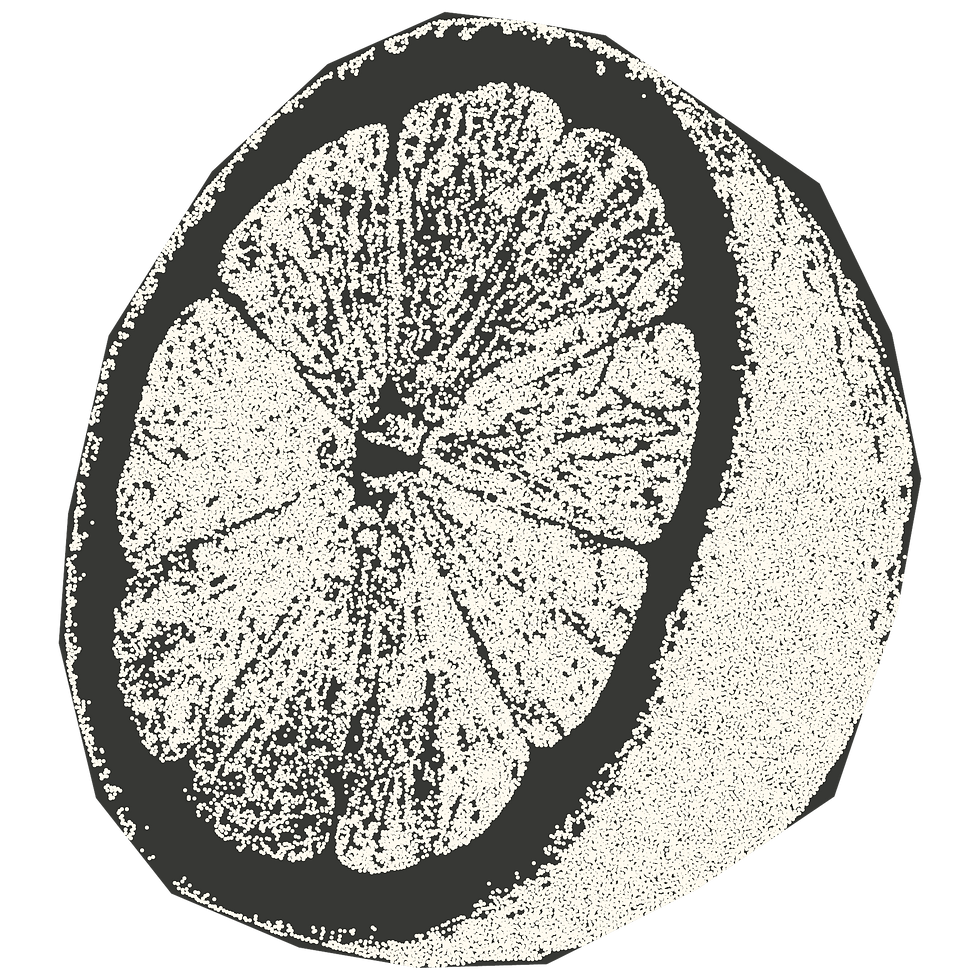 Sketch of a Halftone Lemon Slice showing an Artistic Phot