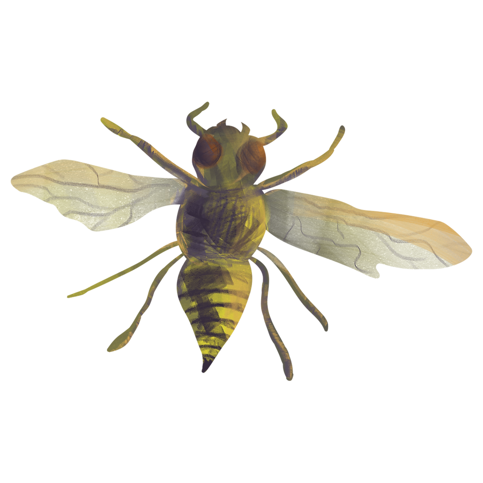 Realistic Yellow Insect