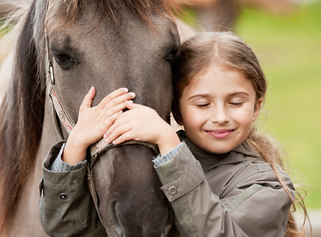 Horse Whisperer