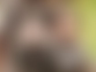 Tous à cheval : l’équitation, un sport riche en diversité