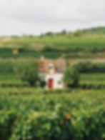 Hut in Vineyard