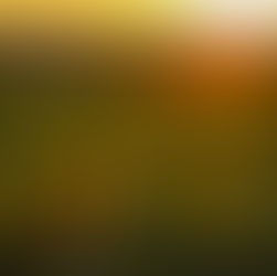 Unleash the Power of Your Mind: Transform Your Life with Empowering Morning Thoughts and Mindful Intention Setting