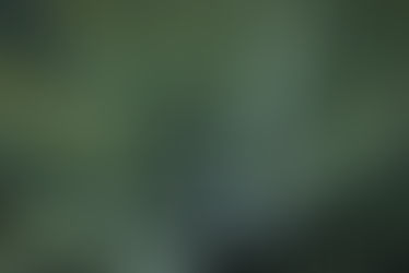 Natural Remedies for Acid Reflux