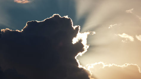 Lily of the Valley Wisdom #10: Core Values