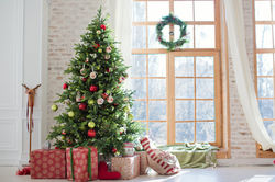 Decorated Christmas Tree