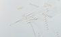 Motif de fil abstrait