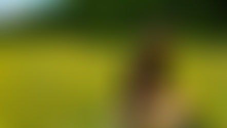 Embracing the Present: How Mindfulness Shapes Mental Health