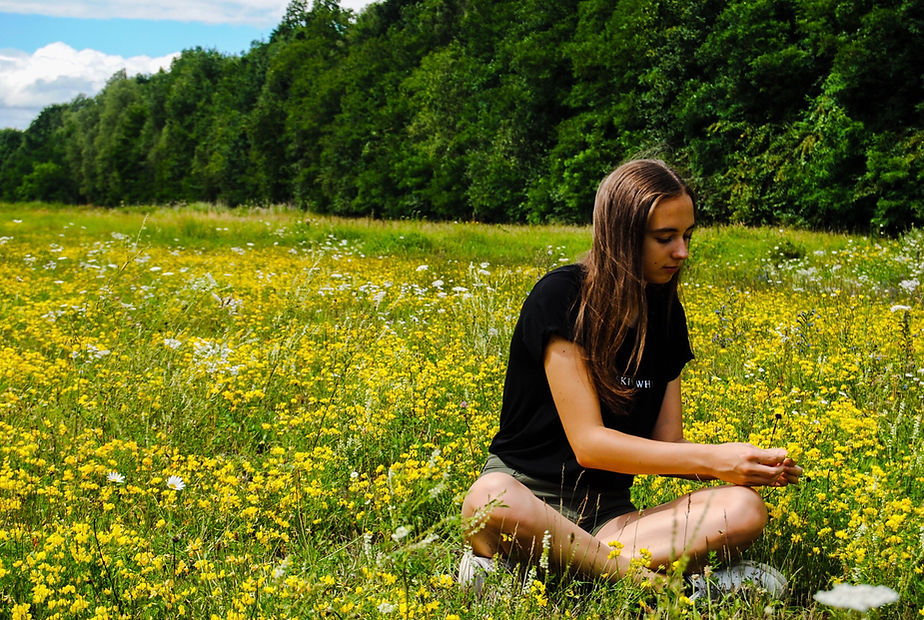In a flower field