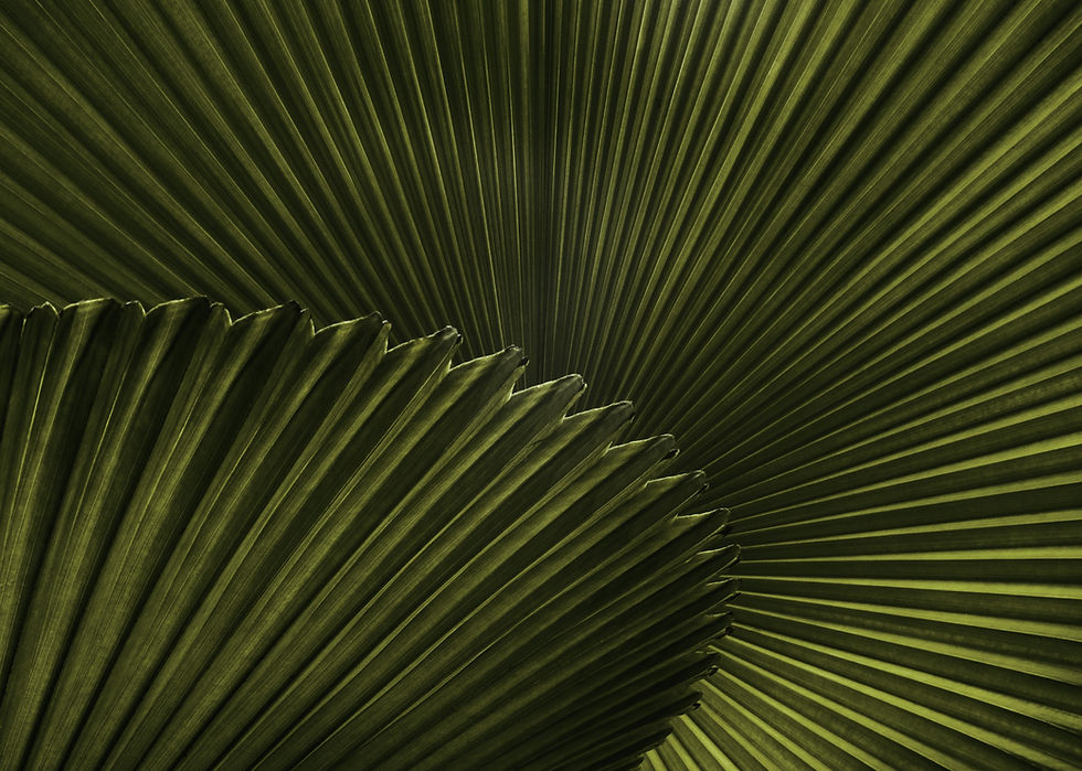 Green Leaf Patterns