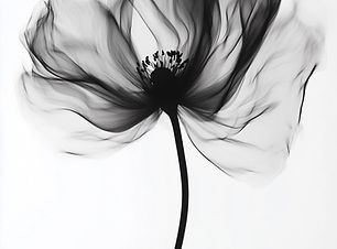 Delicate Black Flower