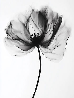 Fleur noire délicate