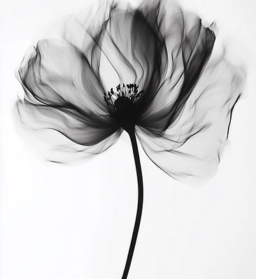 Abstract Black Flower Art