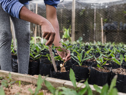 Succession Planning: Strategy & Sustainability