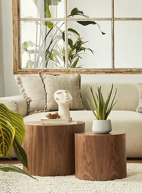 Cozy Living Room