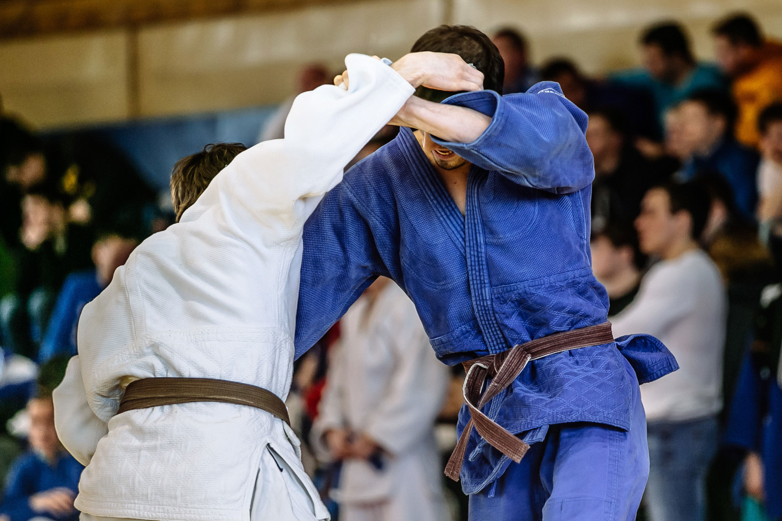 219 Submission Academy