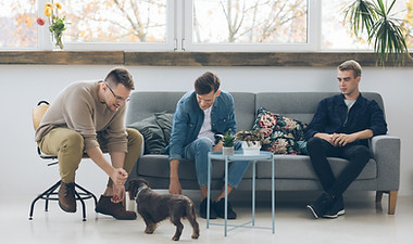 Men Interacting With Dog