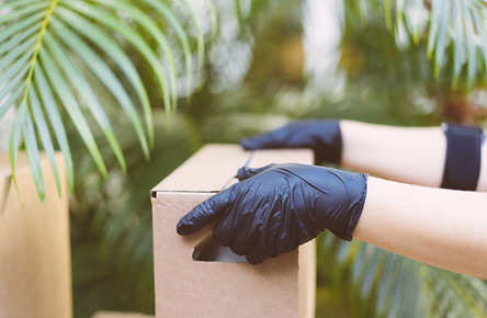 Package Delivery