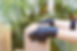 Package Delivery