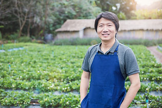 Person in Apron Standing in the Farm