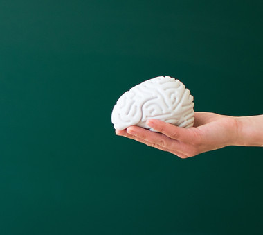Hand Holding Brain