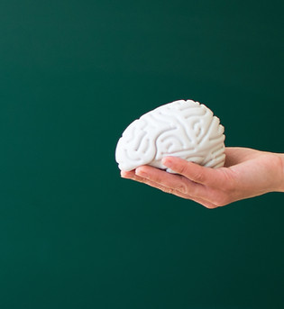 Toy Brain