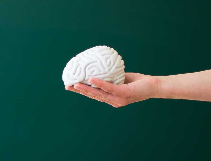 Hand Holding Brain