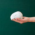 Toy Brain