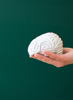 Toy Brain