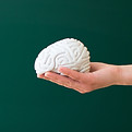 Hand Holding Brain