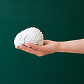 Hand Holding Brain