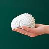 Toy Brain