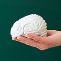 Toy Brain