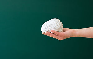 Toy Brain