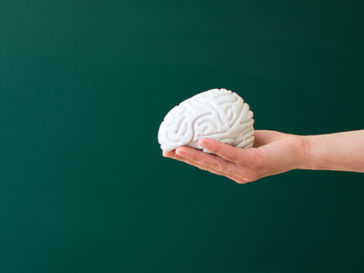 A brain in the palm of a hand