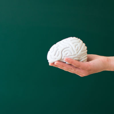 The Pilot of Human Brain Organoids