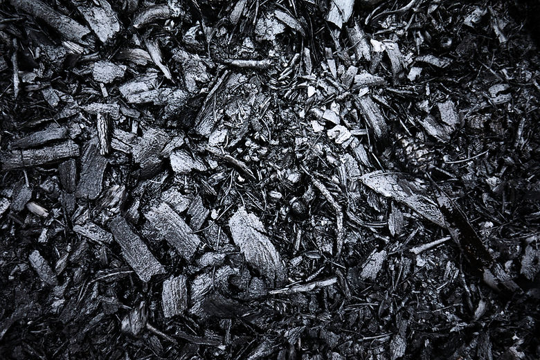 Closeup of burnt black forest floor