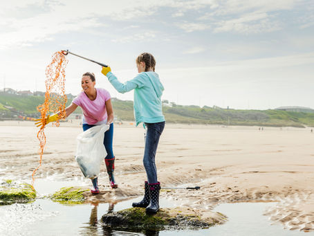 Beach Cleanups: Making Waves for Ocean Health