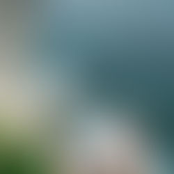 Psoas - The Most Important, Most Overlooked Muscle We Have!