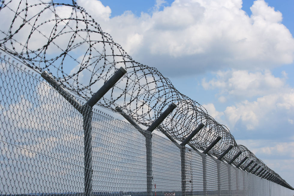 Security fence with coiled barbed wire