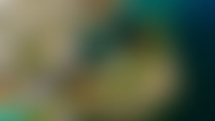 Ecuador Revisita ParaÃsos Fiscales y RegÃmenes Preferenciales