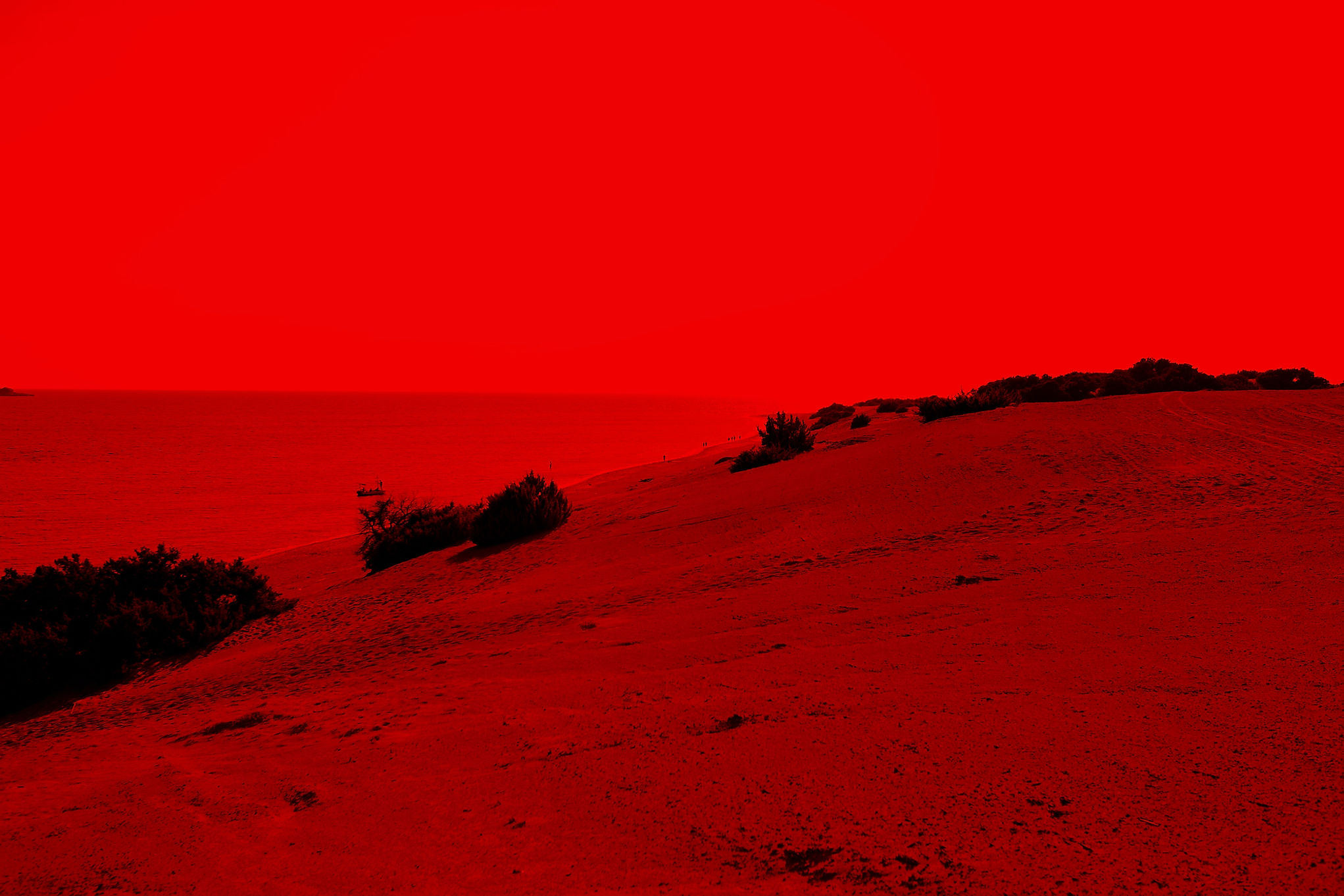 Red Landscape