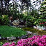 Natural Pond
