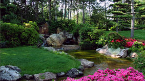 The Benefits of Perennial Plants: Designing a Lasting Landscape