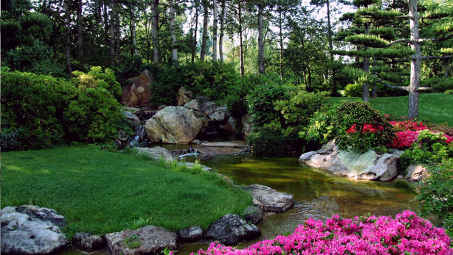 Designing Beneficial Front‑ and Back‑Yards in Port Macquarie for Natural Pest Control