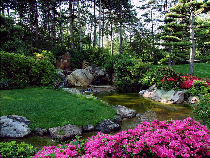 Natural Pond