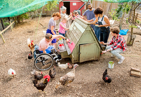 Organic Farm