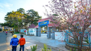 Bridging Child Development and Legal Compliance in Daycare Operations