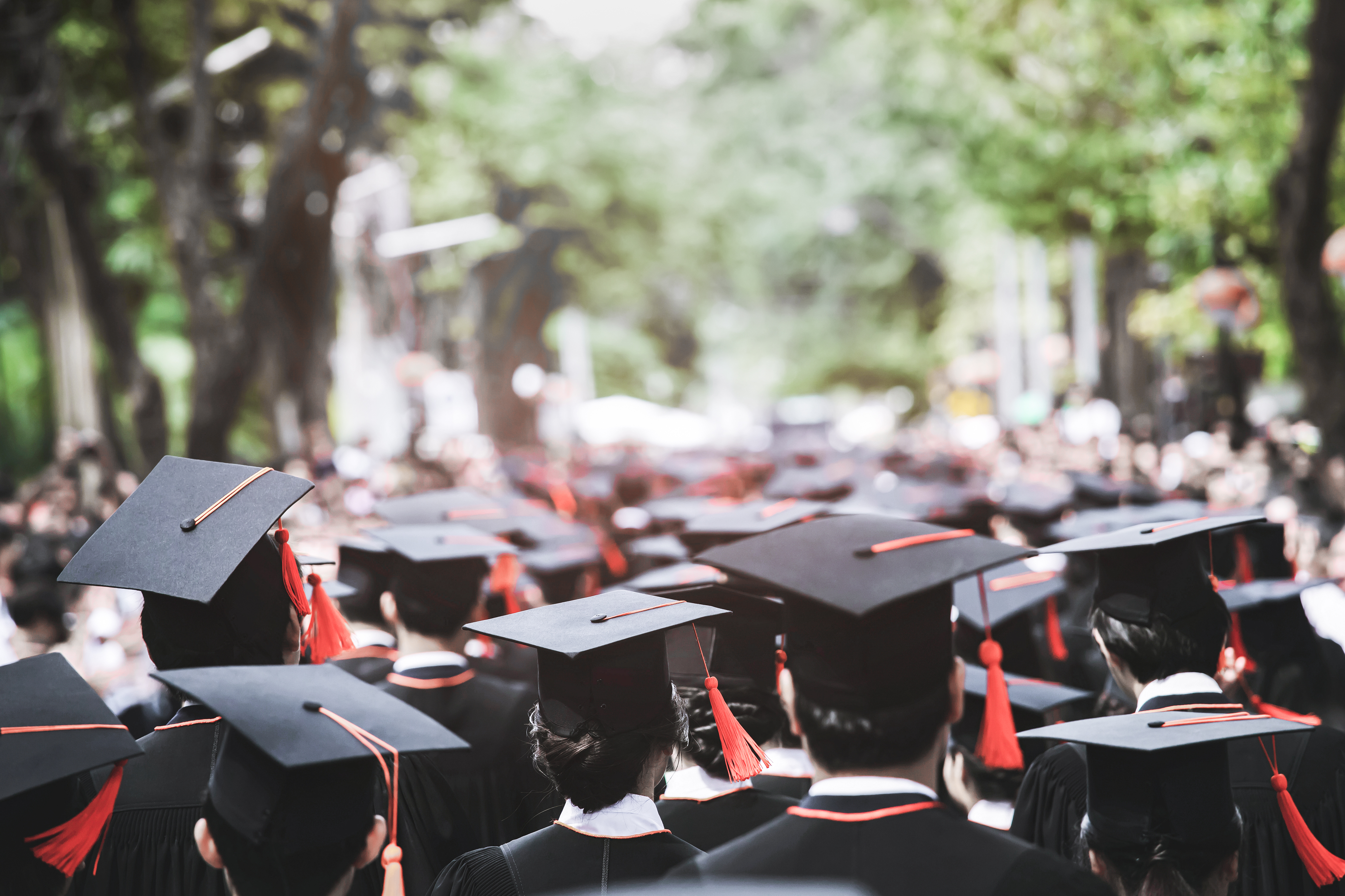 Excel as a Recent Graduate: 12-Part Guide for Young Professionals